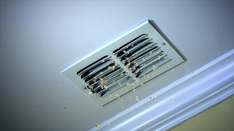 Home Air Vent Cleaning in Tamarac, FL